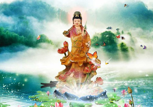 南无观世音菩萨简介