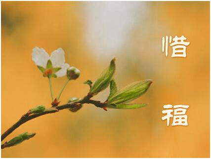 虚云老和尚惜福公案|粮食啊!只可以吃,不可以糟蹋