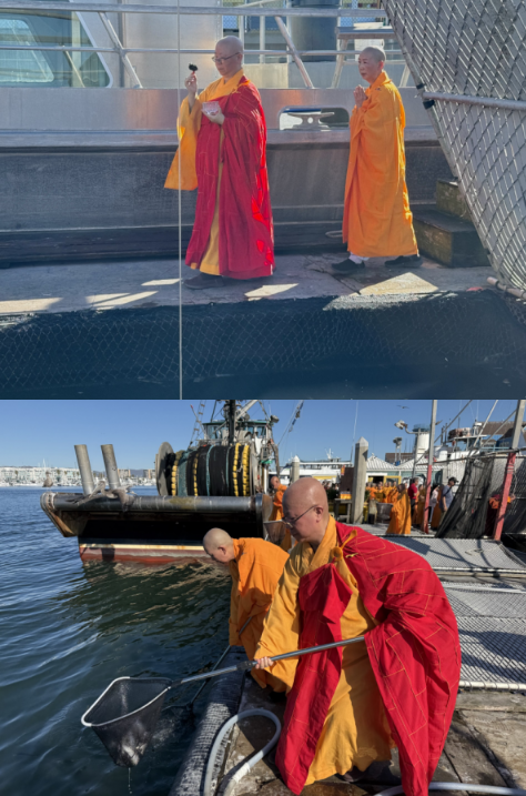 各地庆祝「佛定放生日」祈愿世界和平灾难消弭