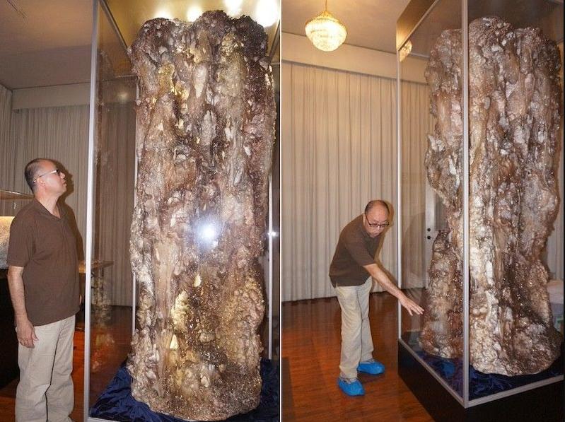 2026年恭迎H.H.第三世多杰羌佛佛诞 洛杉矶文化艺术馆办闻法与大型放生盛事