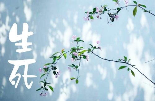 觉海文集:生死大事