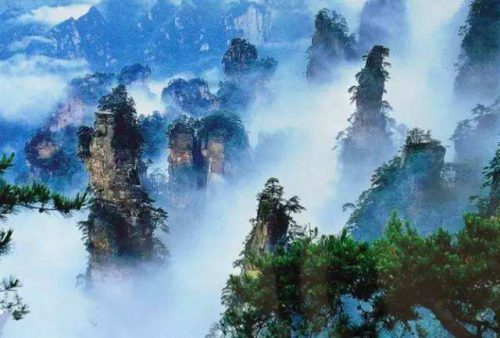 上最强大脑刘星图,吃素念经