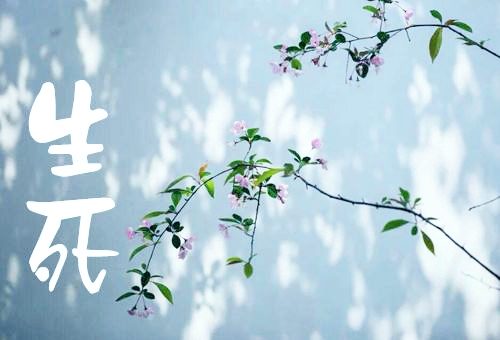 觉海文集:生死大事