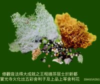 殊胜成就解脱实例,真正的佛法就在人间