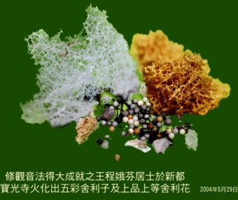 殊胜成就解脱实例,真正的佛法就在人间