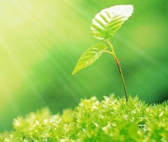 虚云老和尚惜福公案|粮食啊!只可以吃,不可以糟蹋