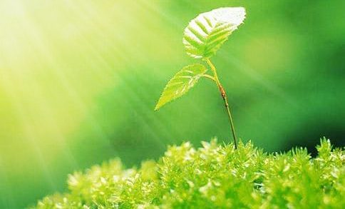 虚云老和尚惜福公案|粮食啊!只可以吃,不可以糟蹋