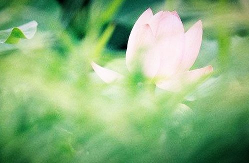 觉海文集:一翳在眼