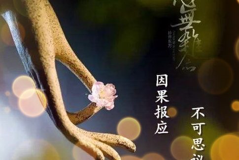种善因,因缘具足收获成熟圆满的果实