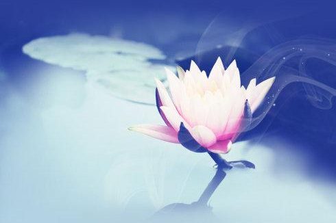 父亲节!再忆与父亲灵魂深处的交流——记最爱我的那个人去了佛国