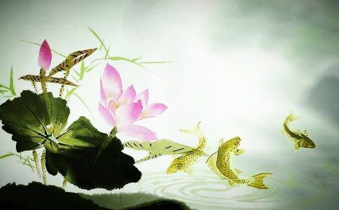 学佛需要看面子?对不如法的做法碍于情面不拒绝吗?