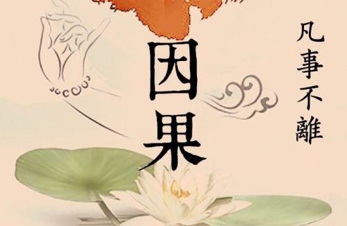 生活不只是眼前的“假疫苗”和狗血,还有佛法和因果