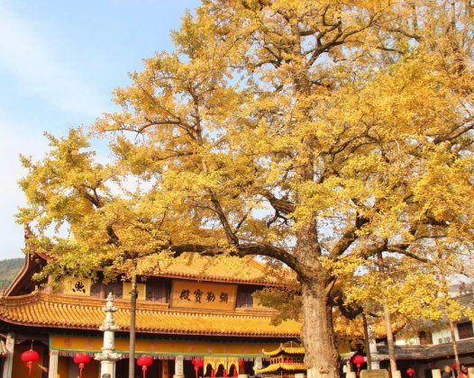 身处逆境,山穷水尽时,你能“潜龙勿用”吗?