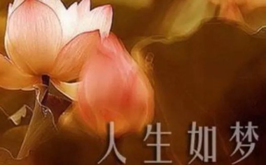 觉海文集:看淡世法