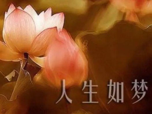 觉海文集:看淡世法
