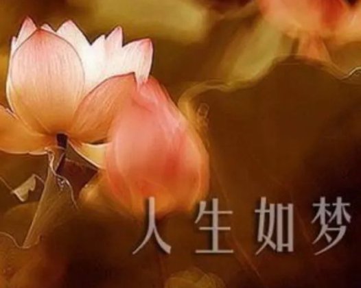 一次让人感动的闻法