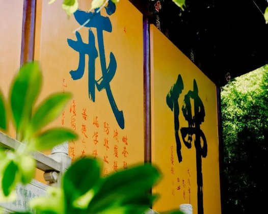 日常中我该如何穿钉耙杵拐杖?