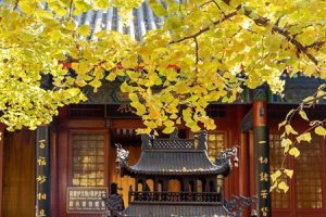 若忽视菩提心的修持,再怎么精进都可能落入邪恶的修行!