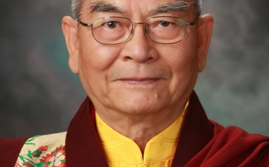 禄东赞法王生死自由 预时坐化圆寂